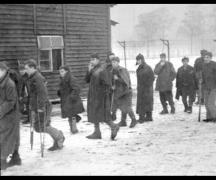 Что случилось с Восточной Пруссией История возникновения владений